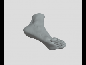 Feet - Foot - Paw 3D Print Model