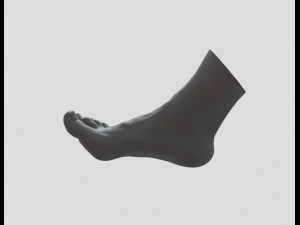 Feet - Foot - Paw 3D Print Model