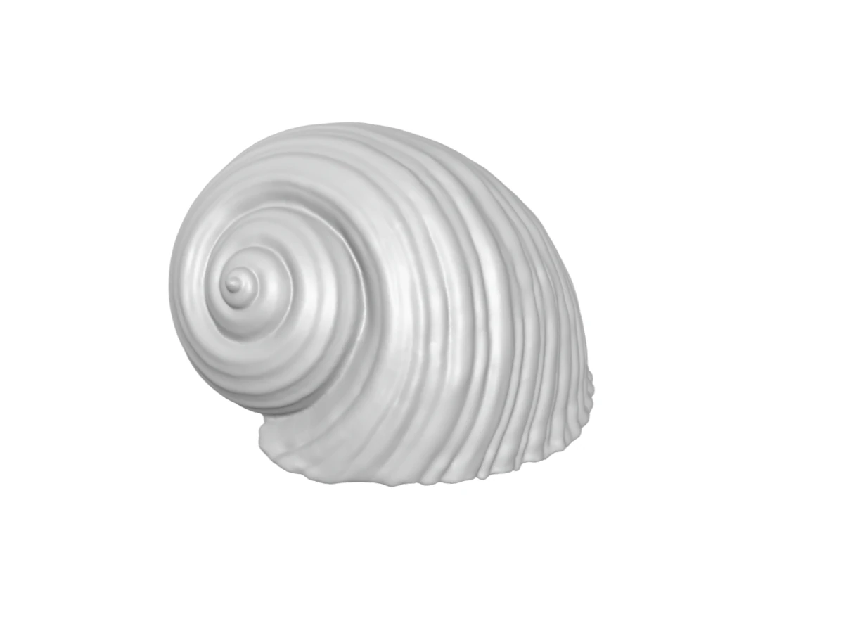 Shell - seashell - conch - sea 3D Print Model .c4d .max .obj .3ds .fbx .stl .blend 