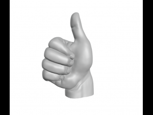 The okay sign - hand ok 3D Print Model