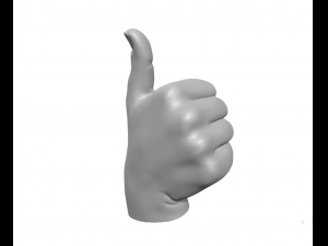 The okay sign - hand ok 3D Print Model