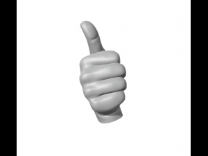 The okay sign - hand ok 3D Print Model
