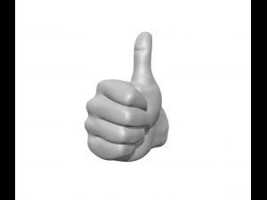 The okay sign - hand ok - anatomy with joint to use it as a coat hanger 3D Print Model