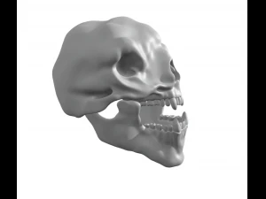3 HEAD CAVE TROLL OF MORIA SKULL 3D Print Model