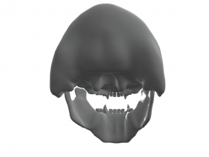 3 HEAD CAVE TROLL OF MORIA SKULL Modelo de Impressão 3D