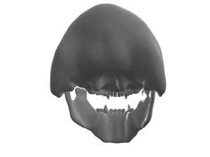 3 HEAD CAVE TROLL OF MORIA SKULL 3D Print Model