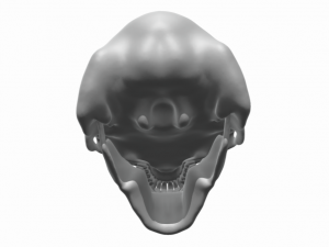 3 HEAD CAVE TROLL OF MORIA SKULL Modelo de Impressão 3D