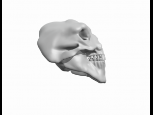 3 HEAD CAVE TROLL OF MORIA SKULL Modelo de Impressão 3D