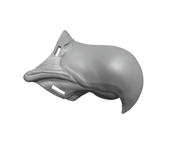 Wearable beak vulture eagle Modello di stampa 3D .c4d .max .obj .3ds .fbx .stl .blend 