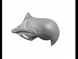 Wearable beak vulture eagle 3D प्रिंट मॉडल