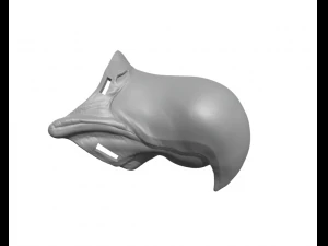 Giyilebilir gagalı akbaba kartalı 3D Baskı Modeli