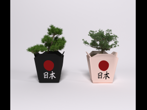 Bonsai 3D Модель