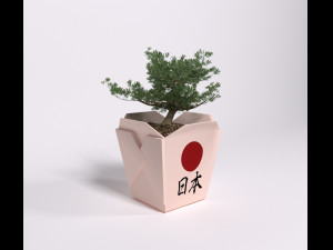 Bonsai 3D Модель