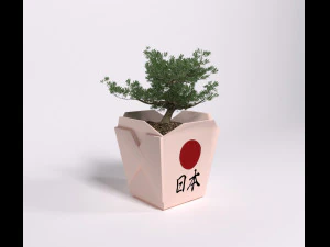 Bonsai 3D Model
