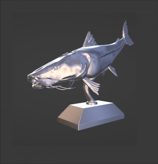 SURUBI FISH TROPHY 3D प्रिंट मॉडल .c4d .max .obj .3ds .fbx .stl .blend 