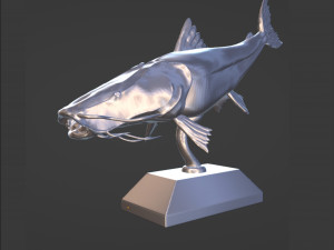 SURUBI FISH TROPHY 3D Print Model