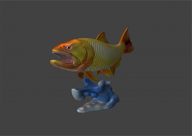 GOLDEN FISH - DORADO DE RIO 3D Model .c4d .max .obj .3ds .fbx .stl .blend 