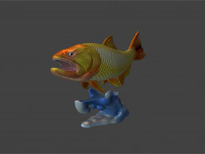 PEIXE DOURADO - DORADO DE RIO Modelo 3D