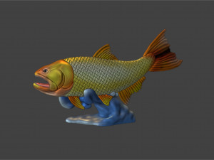 GOLDEN FISH - DORADO DE RIO 3D Model