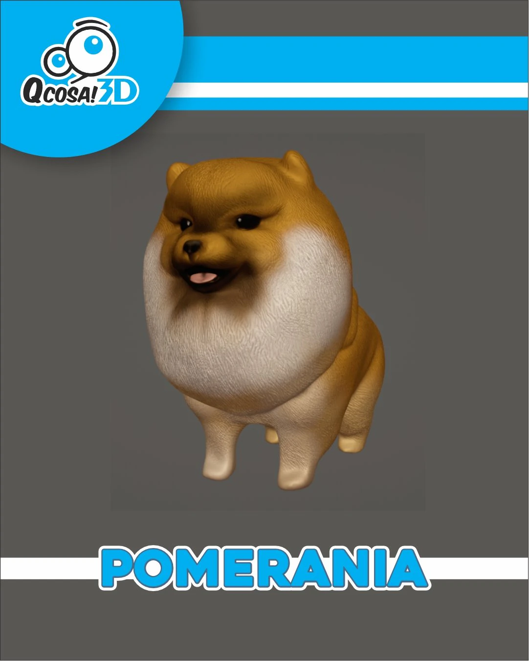 博美犬 3D 打印模型 .c4d .max .obj .3ds .fbx .stl .blend 