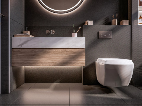 Bathroom full scene 01 3D 모델