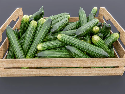 Cucumber crate Supermarket Grocery store 3D Model