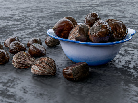 Chestnut 3D Модель