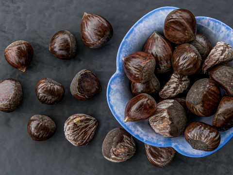 Chestnut 3D Модель
