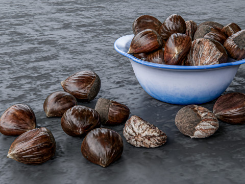 Chestnut 3D Модель