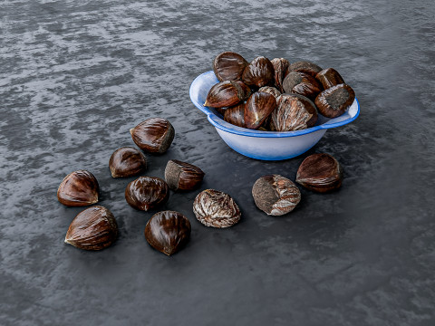 Chestnut 3D Модель