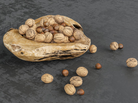 Wallnut Modèle 3D