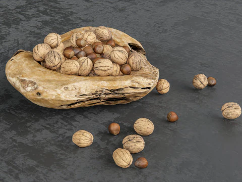 Wallnut 3D Model