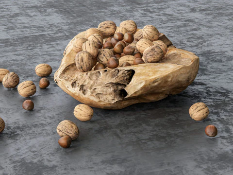 Wallnut 3D Model