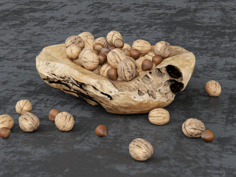 Wallnut 3D Model