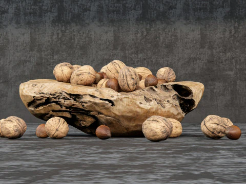 Wallnut 3D Model