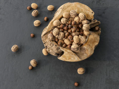 Wallnut 3D Model