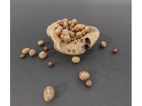 Wallnut Modèle 3D