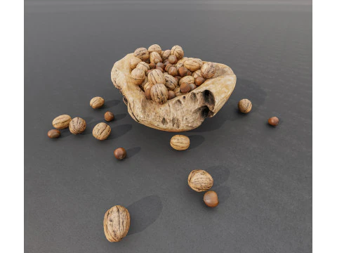 Wallnut 3D Model
