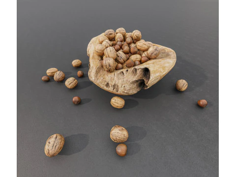 Wallnut 3D Model