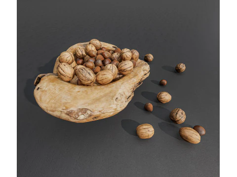 Wallnut 3D Model