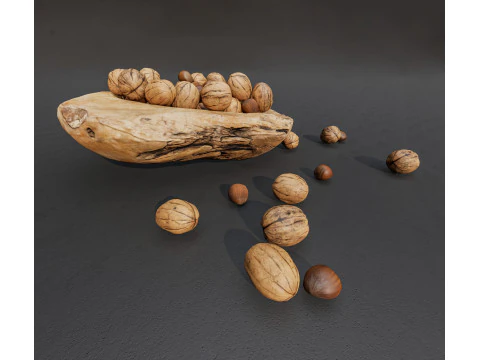 Wallnut 3D Model