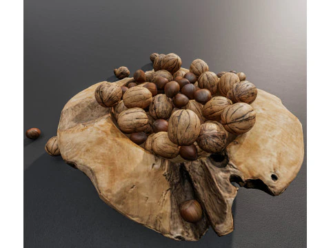 Wallnut 3D Model