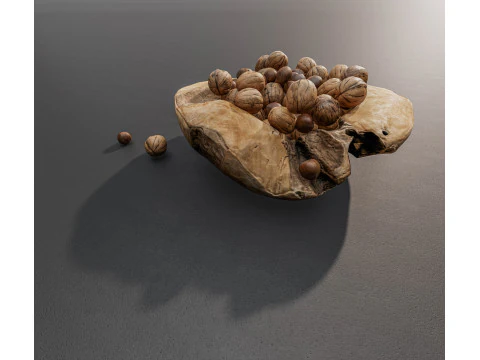 Wallnut 3D Model