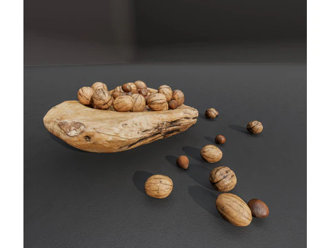 Wallnut 3D Model