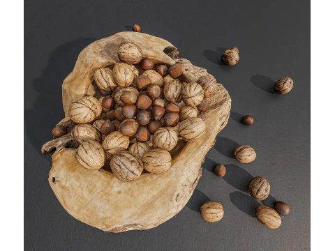 Wallnut 3D Model