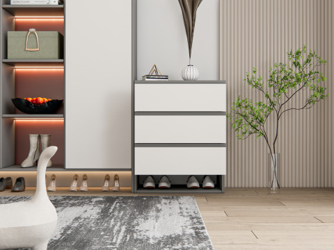 Entryway hallway entrance hall corridor furniture 13 3D Model