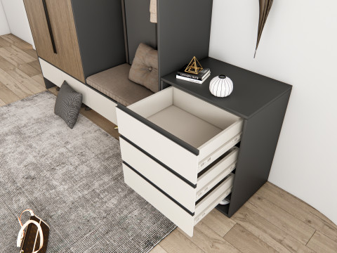 Entryway hallway entrance hall corridor furniture 14 3D Model