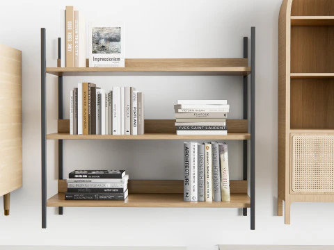 Bookcase 3 3D Model