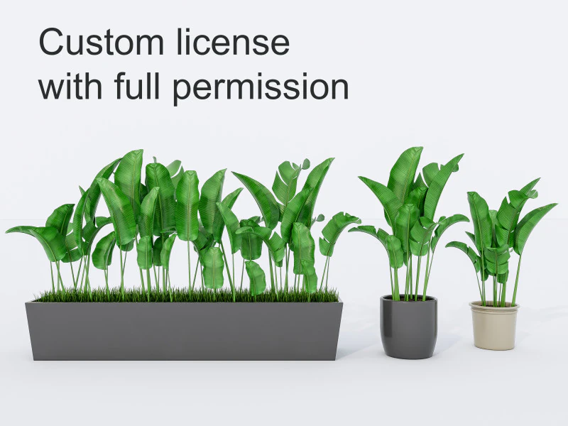 Verzameling van planten in pot 1 3D Model .c4d .max .obj .3ds .fbx .stl .blend 