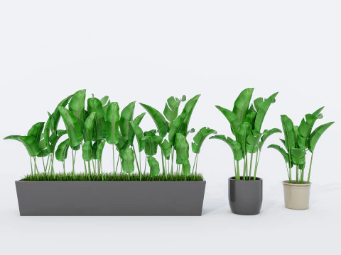 Verzameling van planten in pot 1 3D Model